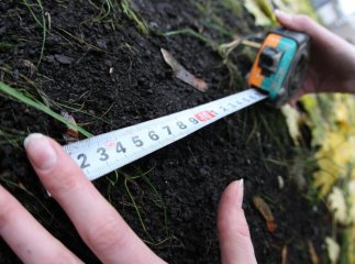 Прокуратура впіймала на земельній оборудці приватне товариство