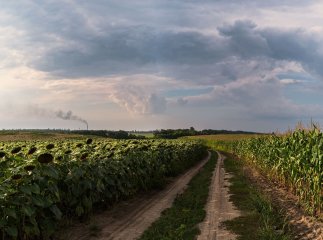 Українцям доведеться переоформити землю — скільки буде часу та що таке узуфрукт