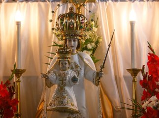 До Ужгорода прибула реліквія, яка зцілює і впливає на життя (ФОТО)