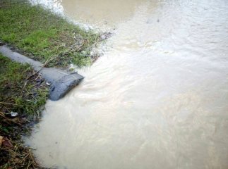 У Білій Церкві, що на Рахівщині, підтопленими залишаються 25 дворогосподарств