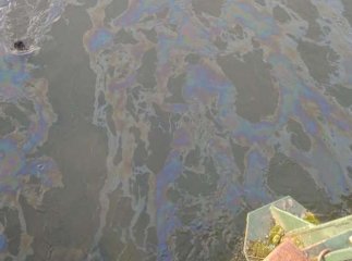 Ужгородська міськрада озвучила попередні результати аналізу води в Ужі