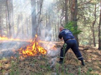 Щоб відпочинок у лісі не перетворився у вогняне страхіття