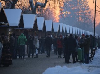 Закарпатські вина, смачні страви та дзвінкі пісні: у Мукачеві урочисто відкрили фестиваль "Червене вино"