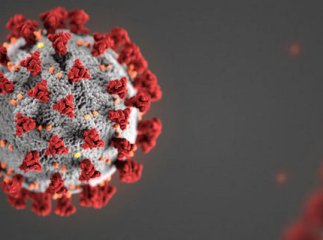 За минулу добу в Мукачеві одна людина захворіла на коронавірус