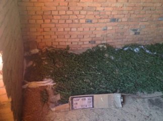 У Новому Давидкові, що на Мукачівщині, чоловік сушив 6 кілограм наркотиків