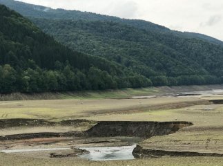 Пустеля серед лісу: як виглядає осушене Вільшанське водосховище