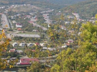 Про село з унікальними рослинами та однією з перших на Закарпатті міні-гідроелектростанцій (ВІДЕО)