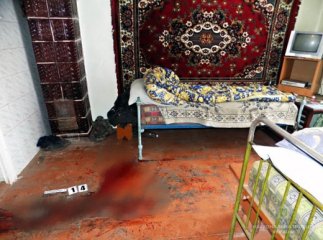 Чоловіка, який зарубав сокирою свого товариша на Міжгірщині, взято під варту