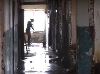 "Концтабір" у Берегові: журналістів шокували жахливі умови життя 126 дорослих і дітей у гуртожитку