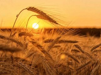 Коли у серпні починається Успенський піст