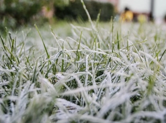 Жителів області попередили про сильні заморозки