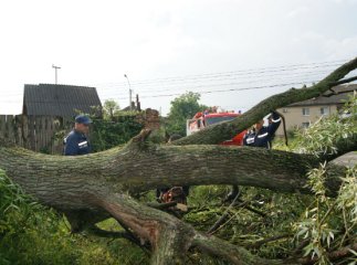 Кілька годин тому Виноградовом пронісся чималий буревій (ФОТО)