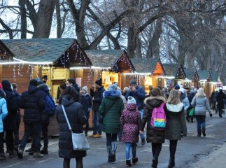 Як проходив в Ужгороді фестиваль "Василля" та чим він відрізнявся від мукачівського "Червеного вина"