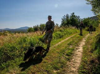У високогір’ї Карпат затримали дві групи чоловіків