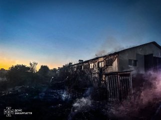 Склад на Берегівщині спалахнув через горіння сухої трави