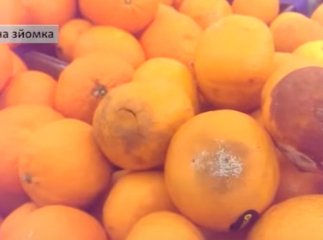 Торт із тарганами, гнилі фрукти та зіпсовані продукти: що продають в супермаркетах Ужгорода