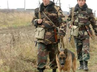 Чопські прикордонники затримали рекордну групу нелегалів