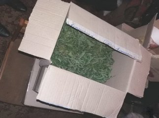 Під час обшуку у будинку знайшли марихуану