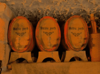 Мандрівники з "Ukraїner" показали єдиний на Закарпатті винний погреб, який їх по-справжньому вразив