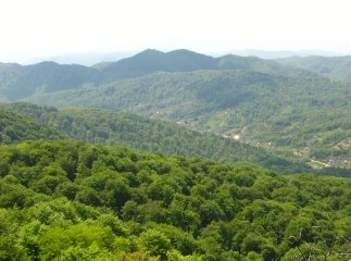 На Ужгородщині рятувальники шукають зниклого 79-річного пенсіонера