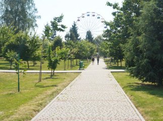 Почав неадекватно висловлюватися: у Мукачеві в парку помітили підозрілого чоловіка