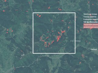 Презентовано карту вирубки лісів: масштаби знищення дерев на Закарпатті рівні кільком сотням футбольних полів