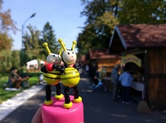 У Мукачеві стартувало свято меду