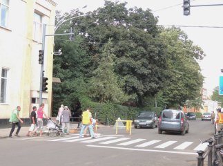 У центрі Берегова відновили зебри