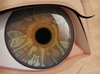 Обстеження у медичному центрі "ЯНКА"