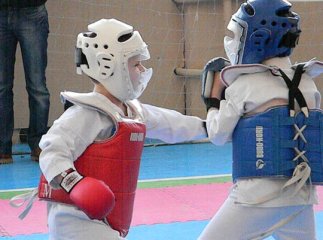 В середині червня в Ужгороді пройде Міжнародний фестиваль та семінар бойових мистецтв