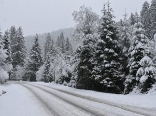 Відпочинок на Закарпатті взимку: де зараз побувати, щоб опинитись у зимовій казці