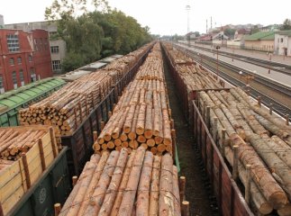 Росіяни готували до вивезення в ЄС 17 вагонів з українським лісом