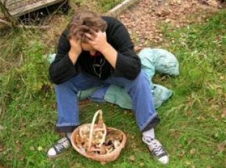 Понад 20 людей та 5 одиниць техніки шукали грибників, які заблукали на Міжгірщині