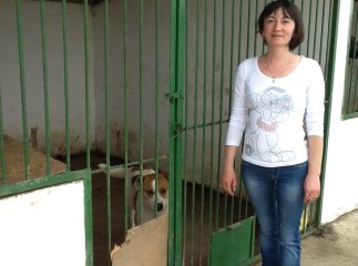 Мукачівські чиновники хочуть знищити ММКП «Центр контролю за тваринами» або підпорядкувати його «Комбінату благоустрою»