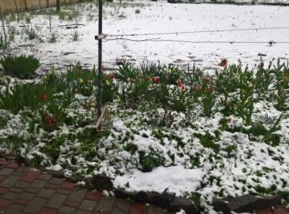 У Закарпатті відчутно похолодає та засніжить