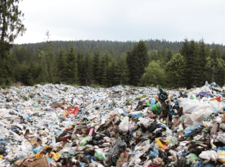 Закарпаття потопає у смітті: стихійних звалищ у області близько 900, а облікові смітники переповнені