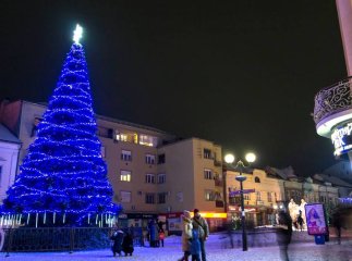 Штучна чи жива: яку ялинку обирають закарпатці?