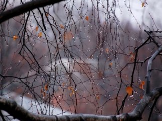 В Україну йдуть сильні дощі