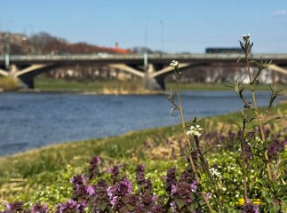 Надзвичайна ситуація у Словаччині не загрожує річкам Закарпаття, – обласний ЦГМ
