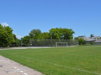 На Закарпатті планують звести кілька нових штучних полів