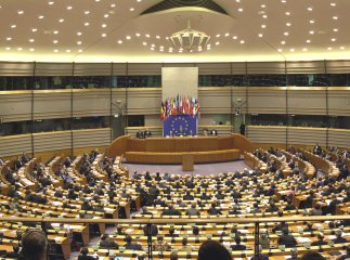 Про ситуацію у Солотвинському солеруднику йшлося на засіданні Європарламенту