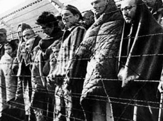 Закарпатським туристам показуватимуть концтабори