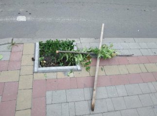 У Хусті невідомі вчинили акт вандалізму