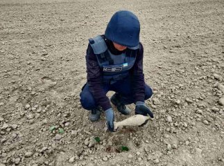 Під час земляних робіт ужгородці знайшли мінометну міну