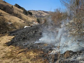 В області продовжують підпалювати сухостій. Рятувальники звернулись до людей
