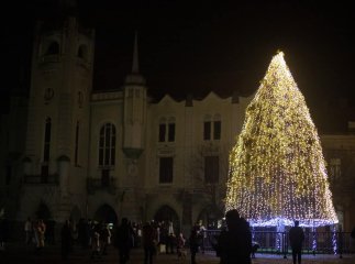 У Мукачеві засвітили вогні на головній ялинці міста