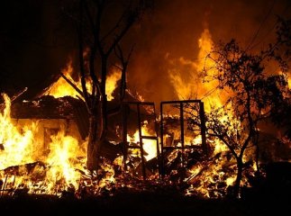 На Воловеччині невідомі підпалили склад лісництва