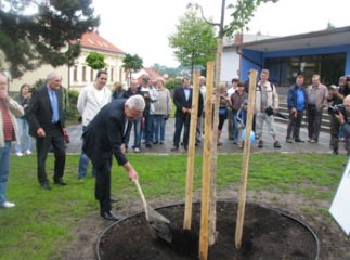 Мер Мукачева посадив липу в Чехії