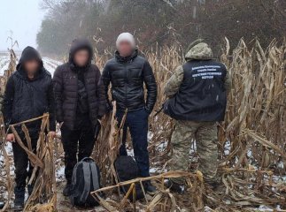 П’ятеро чоловіків хотіли незаконно перетнути кордон з Угорщиною