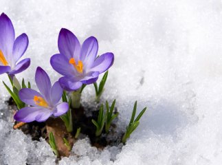 Чим дивуватиме українців початок березня До чого готуватися: якими будуть перші дні весни